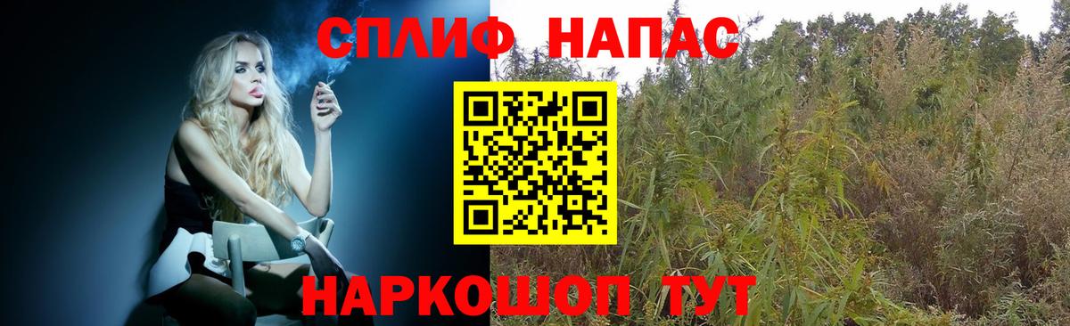 Конопля сатива Кудрово